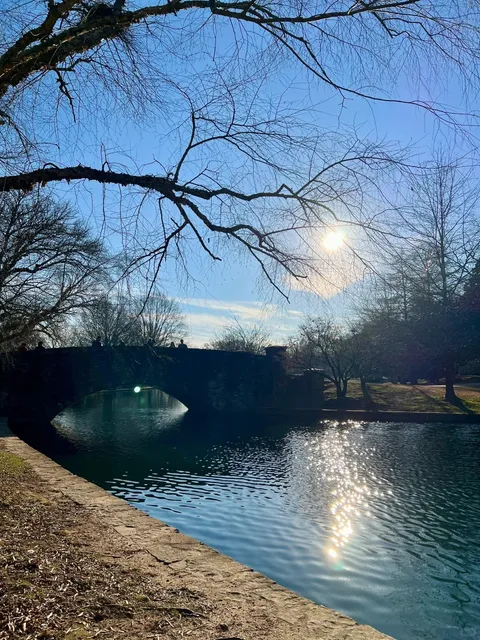 🇺🇸 Life in North Carolina | Can You Believe There's Such a Beautiful