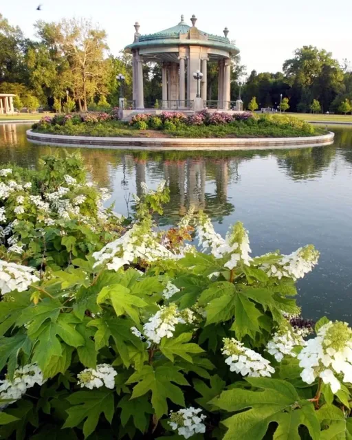 💎 St. Louis Locals’ Secret "Urban Oasis"