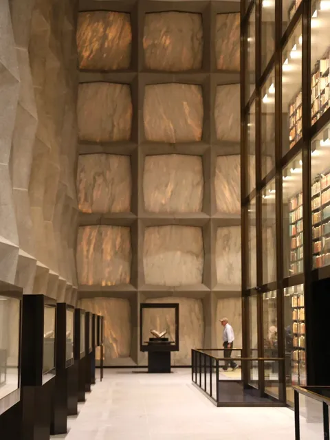 ​​New Haven First Stop | A Windowless Treasure Box of Books 📖✨​​