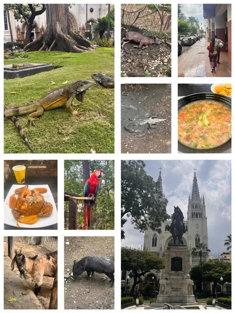 🇵🇪 Peru to Ecuador Overland | Guayaquil & Puerto López Travel Guide