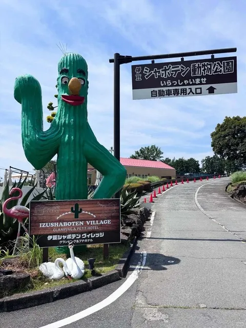 One-Day Izu Tour: Healing Ocean Views 🌊 Beyond Expectations(1)