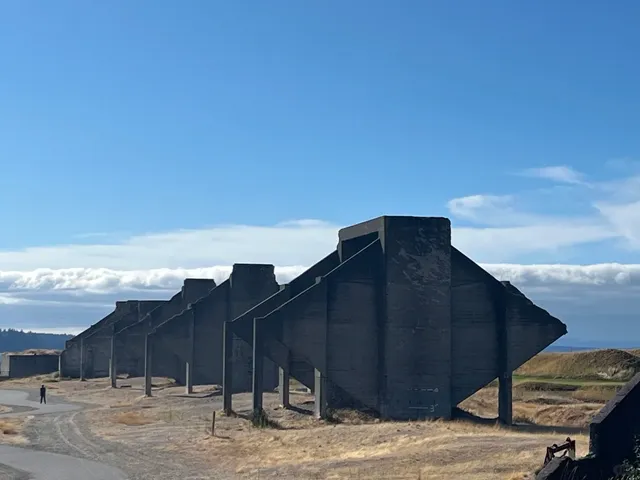 A Surprising Day Trip to Tacoma! 🌧️➡️😍