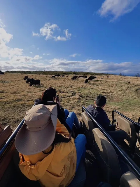 Exploring a Wildlife Reserve Near Cape Town
