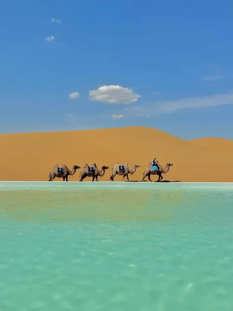 🚀 Ordos 4D3N Special Ops Mission: Desert + Culture Blitz!