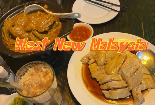 New York Chinatown | Delicious Hainan Chicken 🍗