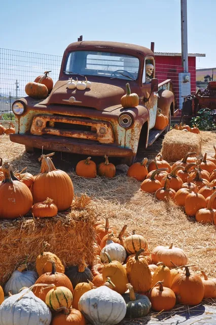 USA｜Getting into the Halloween Spirit Early on Highway 1 🎃