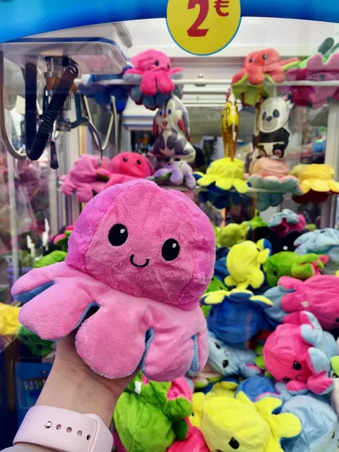 2 Euro Guaranteed Prize Claw Machine at Paris Fair