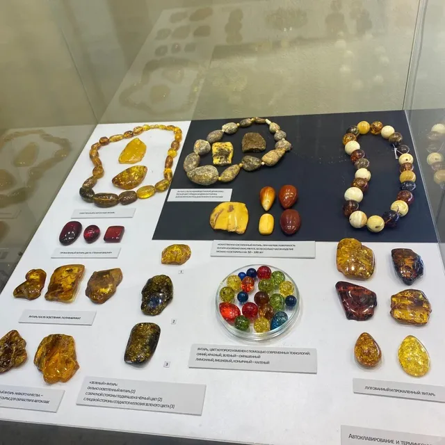  Kaliningrad Ultimate  | Downtown Edition ⛱️