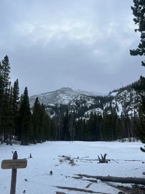 Colorado - Denver 5-Day Ultimate Travel Guide 🏔️🚗