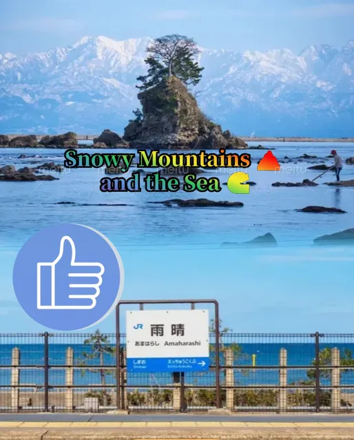 Chasing Dreams: Snowy Peaks and Ocean Breezes at Rain Clear Coast 🌊🏔️