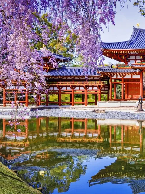 Byōdō-in Phoenix Hall Wisteria Sea | A Paradise Across Millennia 🌸