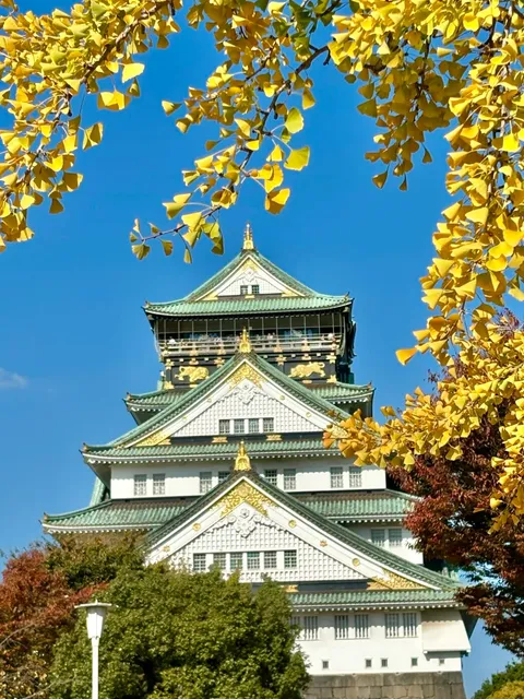 First Time in Osaka? Copy This Route Directly! 🌟🍣