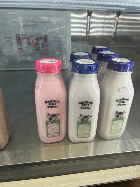 Maine | Lobster 🦞 & Blueberry 🫐 Season Part.1