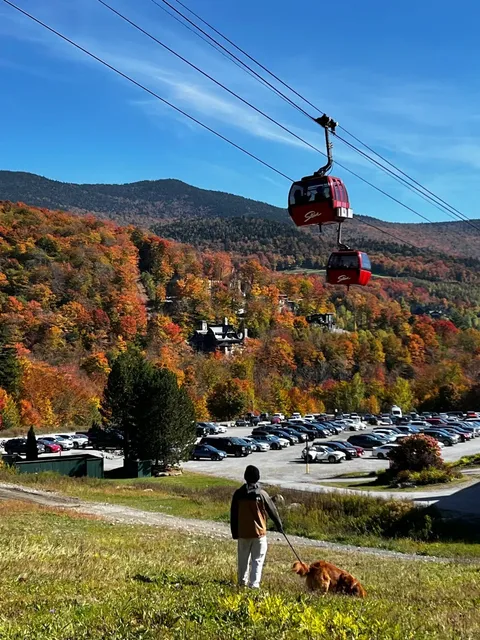 Stowe Vermont Fall Foliage Guide | Live Report Day 3 🍁