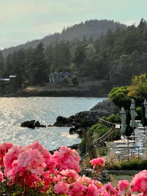 ​​San Juan Islands Day Trip: A Fairy Tale Adventure from Seattle 🏝️🐋