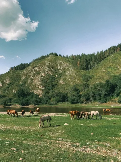 Welcome to Bashkortostan – Where Nature and Culture Unite in Harmony! 