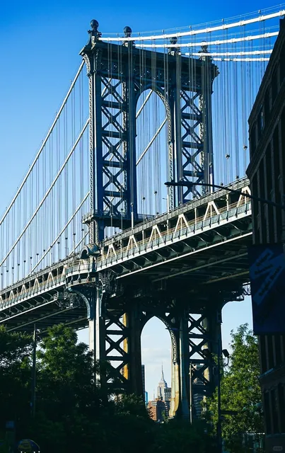 New York Statue of Liberty and Lower Manhattan Citywalk Photography(2)