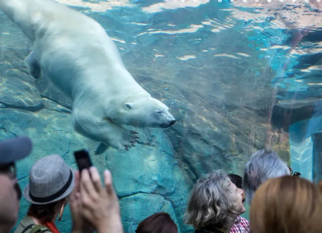 🇨🇦 Winnipeg’s Must-Visit FREE Attraction – Assiniboine Park 🌳🆓
