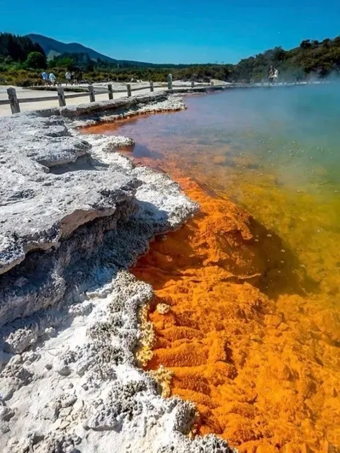 🌏 Super Awesome North Island New Zealand Chartered Day Tour 🚗  