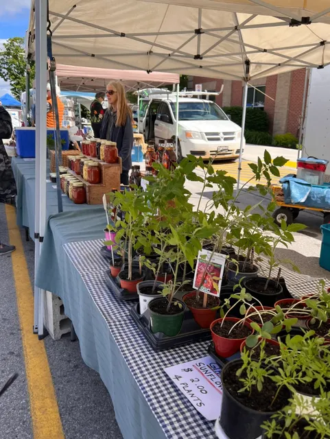 🌞 Refresh Your Summer Mood in Just One Hour at Orangeville!