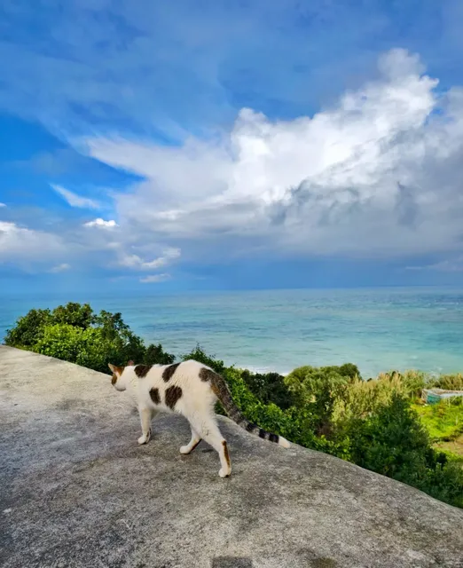 🌊Tangier: Where the Atlantic Kisses the Mediterranean🌍（2）
