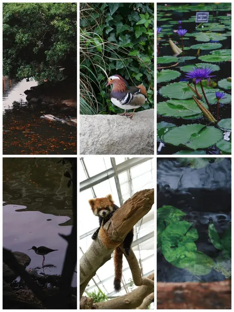 🌿🍃 Kobe Reminder 