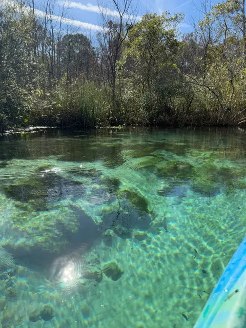 🇺🇸 Florida Trip 4: Weeki Wachee Springs 