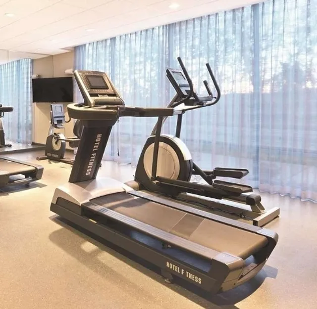 Billings Stay: Traveling with Cats