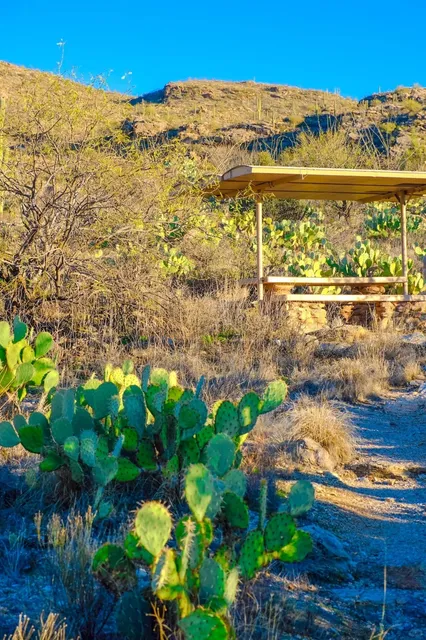 🇺🇸 Must-Drive Road Trip in Arizona: A Journey of a Lifetime! 🚘