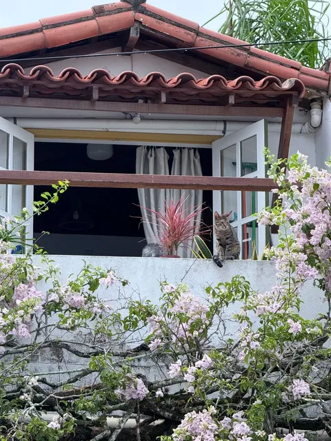 Búzios: Brazil’s Charming Coastal Escape