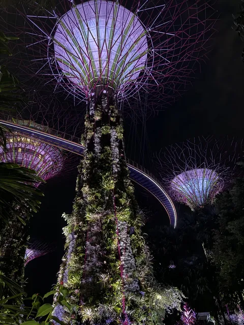 Singapore Marina Bay Gardens Travel Guide 🌳🌺