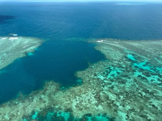 🇦🇺 Cairns 4D3N Itinerary 🌴