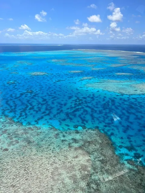 🇦🇺 I’ll Be Sad If You Miss These Spots in Cairns!