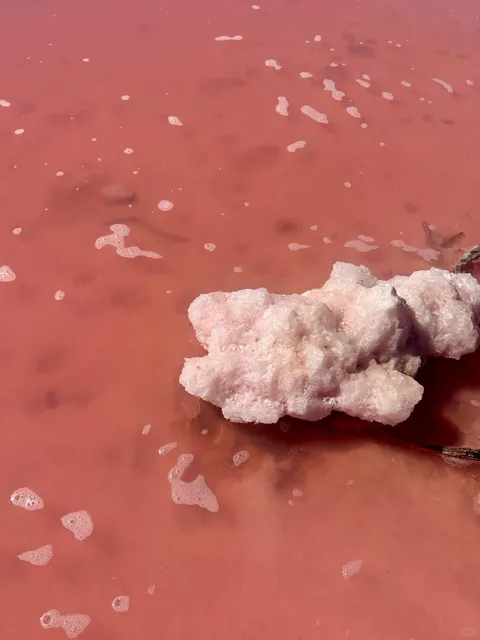  Perth, Western Australia 6D5N Free & Easy Travel Guide ‼️🦘