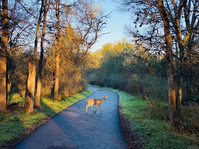 San Antonio Weekend Getaway for Fall Colors 🍂