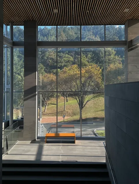 ​​An Art Gallery with Floor-to-Ceiling Windows That Heals the Soul