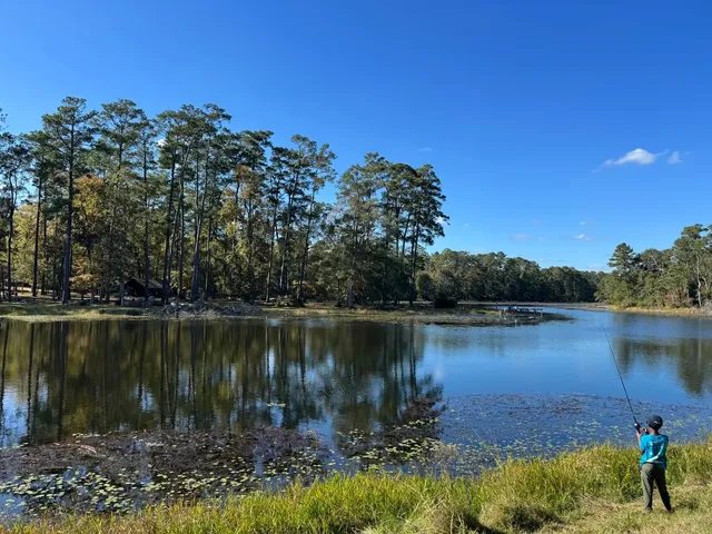 Sam Houston National Forest