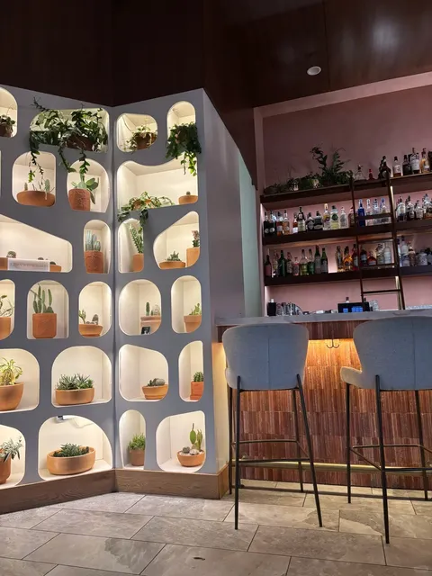 ATL｜Delbar: A Persian Gem I Keep Recommending 🕊️✨