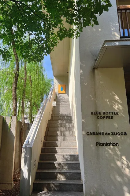 Tokyo Café Hopping 🍵