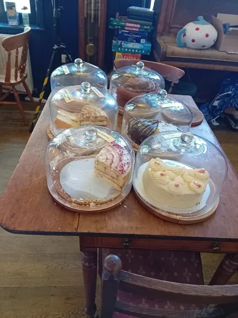 🍽️ A Fantastic Menu of Delicious Delights! 🍽️