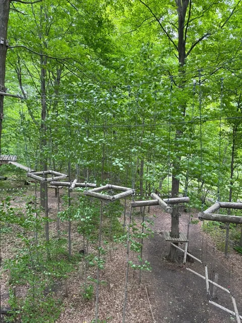 🇨🇦 Treetop Trekking - An Epic Jungle Adventure! 🌳🧗‍♂️