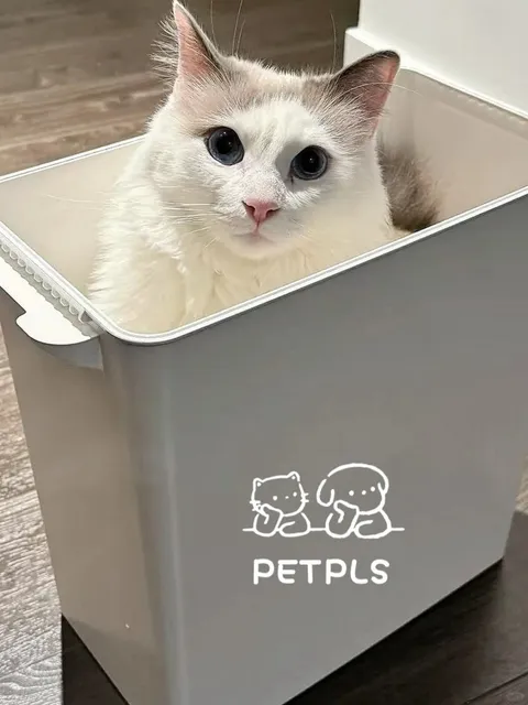 PETPLS Cat Café - Richmond's Fluffiest Paradise! 🐾✨
