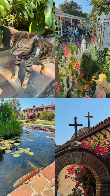A Perfect Day Trip in Southern California｜San Juan Capistrano 🌸✨