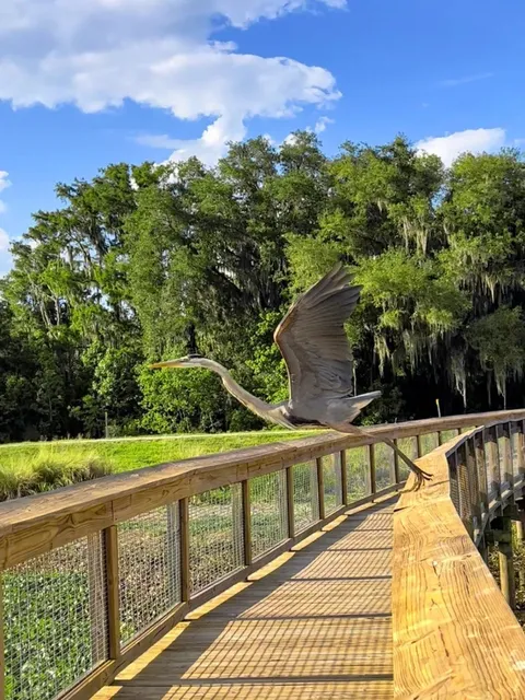 🌿 Sweetwater Wetlands Park