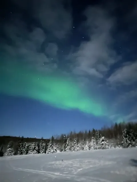 ❄️ November Aurora & Dogsled Tour in Fairbanks, 