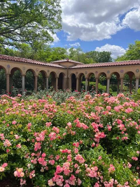 Washington, D.C. | The Roses in the Monastery Bloom Quietly