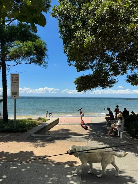 📍Brisbane Sea View Shorncliffe Pier Go Now!!​