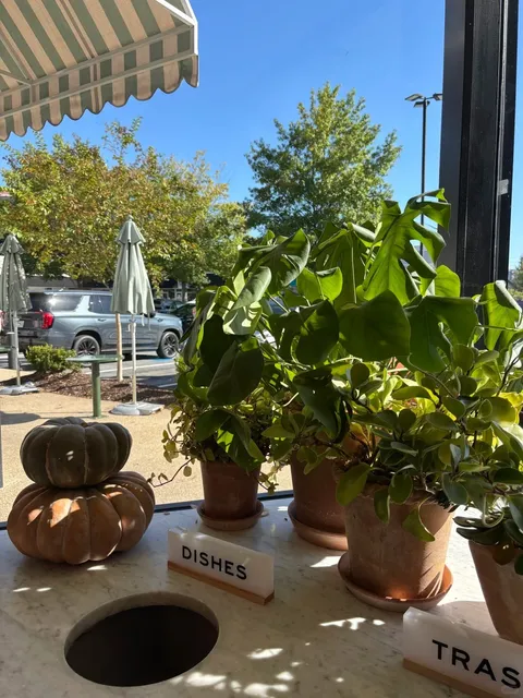 ATL 🌿 | A Perfect Cafe for Studying, Working & Reading ☕️📚