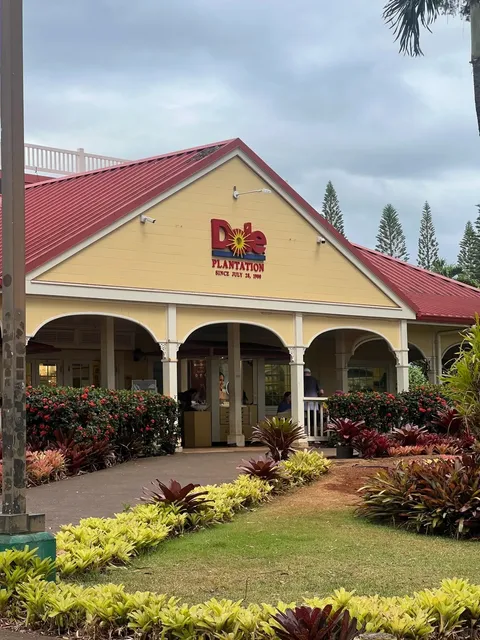 Oahu, Hawaii Guide | 3-Day Car-Free Itinerary