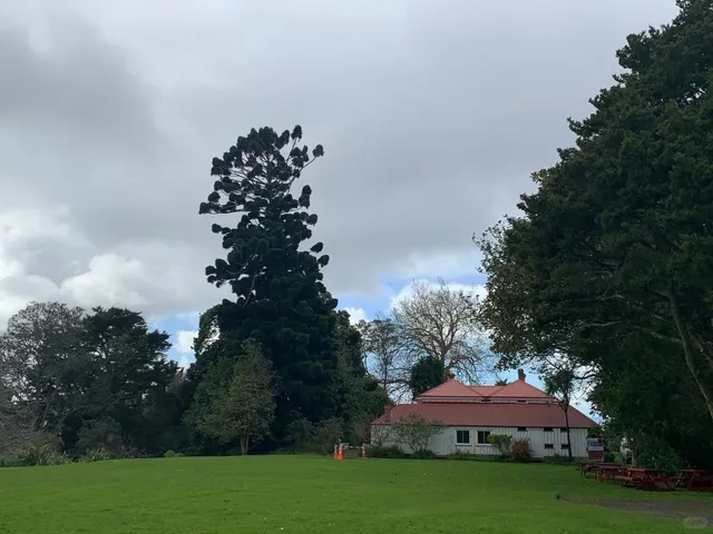 🇳🇿 Whangārei: A Serendipitous Stop Filled with Warmth